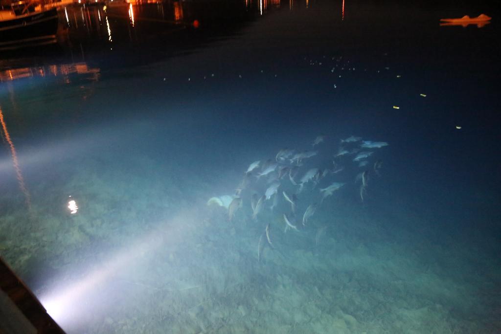 Dolphin Hotel Селимие Екстериор снимка